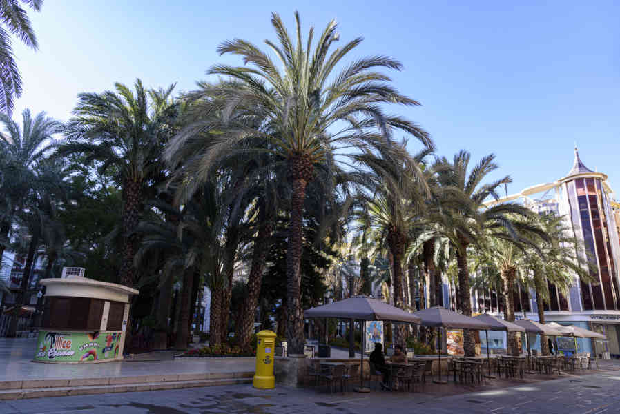 Alicante - Elche 29 - plaza de D. Julio María López de Orozco.jpg